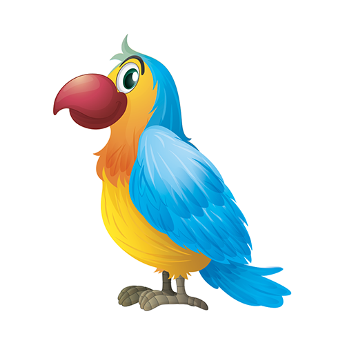 Dschungel Vögel