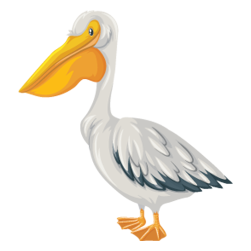 Dschungel Vögel
