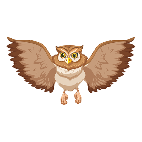 Dschungel Vögel