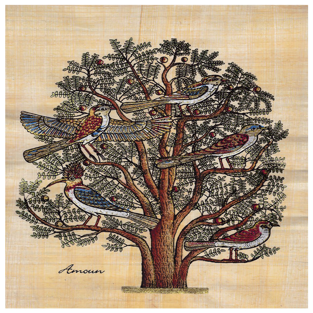 Árbol de la Vida - S.11